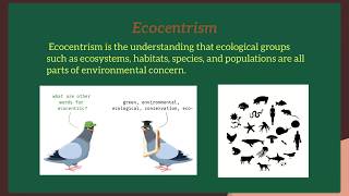 Environmental Ethics [upl. by Ashwell]