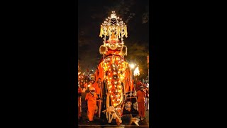 Kandy Esala Perahera 2021  5th Kumbal Perahera [upl. by Dituri81]