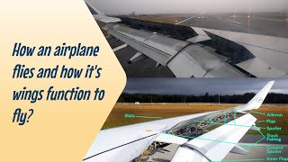 How airplane flies and how its wings function to fly airplane details [upl. by Hajar512]