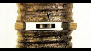 DiaMagnetic Levitation  Bismuth  Magnet Tricks [upl. by Ailad]