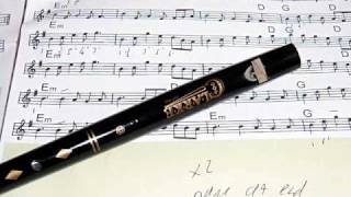 Gaudete played by Penny Whistle Quartet Tin Whistle [upl. by Ettennek]