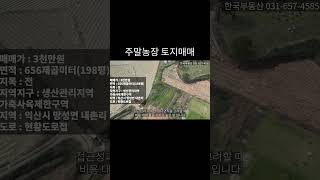 주말농장 텃밭 가능한 토지매매매매가 3천만원 198평 주말농장 텃밭 묘지 [upl. by Tnomad164]