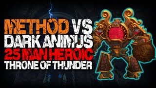 Method vs Dark Animus 25 Heroic World First [upl. by Annawaj]