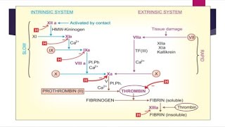 coagulants and anticoagulants Pharmacology [upl. by Manaker]