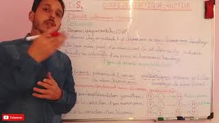 cours 4  Génétiques HumainePartie 2  Hérédité autosomique récessive شرح مبسط للجزء الثاني [upl. by Hartley]