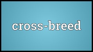 Crossbreed Meaning [upl. by Ekrub]