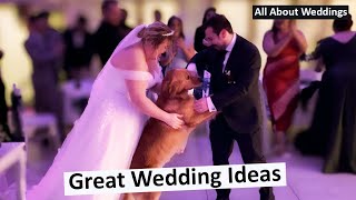 Amazing Wedding Ideas with Lucky the Dog [upl. by Brandie]