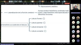 FISIOLOGIA FISIOPATOLOGIA  FASE 2  RECUPERACION 03 [upl. by Eidlog578]