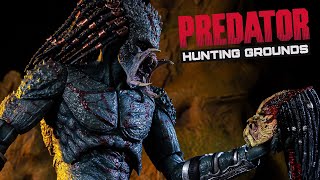 Predator Hunting Grounds EP 258 Upgrade Assassin Predator 2018 Build [upl. by Bearce946]