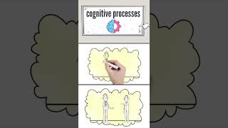 Whats the Importance of Cognitive Processes [upl. by Hanser]