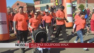 National MS Society Connecticut Chapter hosts fundraising walks [upl. by Yanat697]