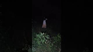 Kaun hai Aadhi Raat ka jungle meinyoutubepublic shortsvideo shortsviral birlacitywaterpark [upl. by Pero853]