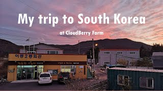 My trip in South Korea at CloudBerry Farm [upl. by Dulcy]