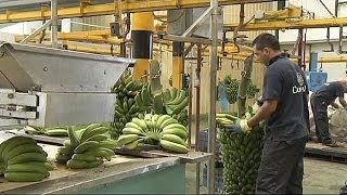 Top banana as Fyffes and Chiquita merge  economy [upl. by Mak]