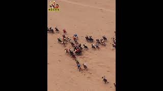 The Naadam Festival in Inner Mongolia with the youth horse racing is truly exhilarating [upl. by Trilbee]