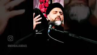 Jab Insan keena or Bugz rakhta hai  By Moulana Nusrat Abbas Bukhari  imamali religion islamic [upl. by Gui]