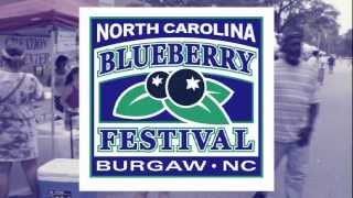 NC BLUEBERRY FESTIVAL Burgaw NC [upl. by Fee]