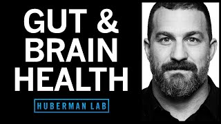 How to Enhance Your Gut Microbiome for Brain amp Overall Health [upl. by Eelik464]