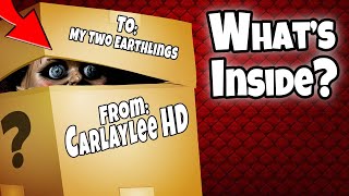 Carlaylee Mystery Box Whats Inside Is Annabelle Inside the Mystery Box [upl. by Otter]