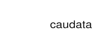 How to pronounce caudata [upl. by Ennairod]