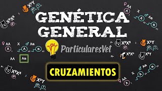 📋CRUZAMIENTOS 📌 Estructura 📌 Genética general [upl. by Beulah196]