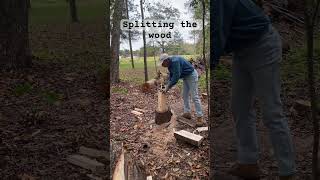 Splitting the wood 🪵 woodwork splittingwood woodworking wood nature [upl. by Kcajyllib]