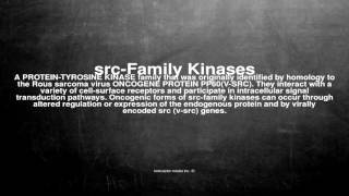 Medical vocabulary What does srcFamily Kinases mean [upl. by Neenwahs]