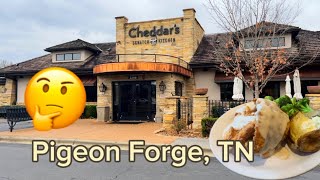 Interesting Lunch Experience at Cheddars Scratch Kitchen Pigeon Forge TN [upl. by Wolfort]