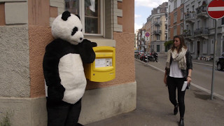 Der Panda sagt quotGeht Abstimmenquot [upl. by Nelly]