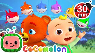 Baby Shark Colors Song  More CoComelon JJs Animal Time Kids Songs  Animal Songs for Kids [upl. by Ready]