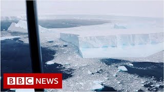 Video captures worlds biggest iceberg  BBC News [upl. by Einaffit]