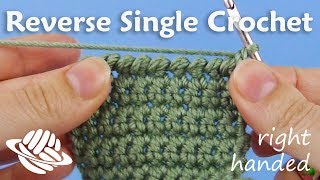 Reverse Single Crochet righthanded version [upl. by Crescentia]