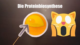 Die Proteinbiosynthese [upl. by Gennaro]