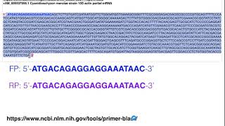 Biotechniques  Principles of Primer Design for Full Gene Amplification [upl. by Eibbob375]