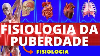 FISIOLOGIA DA PUBERDADE FISIOLOGIA DE GUYTON  PUBERDADE FEMININA  FISIOLOGIA HUMANA [upl. by Seni]