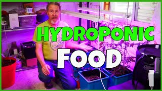 Adding Hydroponic Nutrients [upl. by Ydnim790]