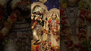 Giridhari Lal Nache Shyam Gopal merochotosoladdugopal shortvideo song 🙏🙏 [upl. by Marba]