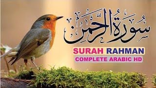 Surah Rehman  Surah Rahman  most beautiful tilawat surah Rehman  Surat Rahman tilawat [upl. by Fin]