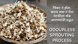 मटकीला मोड आणण्याची पद्धत  sprouts recipe  moth sprouting process by kanchan bapat recipes [upl. by Derina]