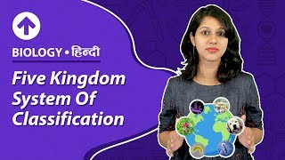 Five Kingdom System Of Classification  Hindi  Biology [upl. by Lenoil]