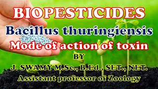 BIOPESTICIDES BACILLUS THURINGIENSIS [upl. by Earahc]