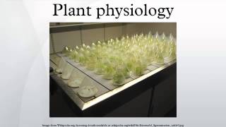 Plant physiology [upl. by Zanahs]