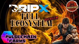 Dripx Full Ecosystem Overview  Pulsechain Farms [upl. by Lennox97]