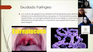 Practica 6 microbiologia Exudado Faringeo [upl. by Delphine]