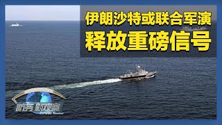 伊朗与沙特或将在红海举行联合军演 以色列对伊朗军事目标实施多轮“精确打击” 「防务新观察 Defense Review」20241026  军迷天下 [upl. by Aicenev]