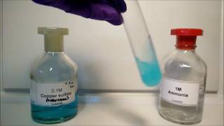 Precipitation reactions observations exercise [upl. by Enelec]