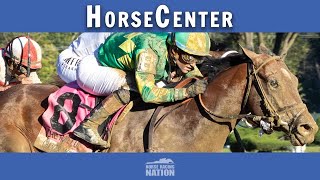 Breeders Cup Classic amp Juvenile Top Picks  BC 2024 Suggested Wagers on HorseCenter [upl. by Dorca]