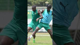 Togo 🇹🇬 vs Algérie 🇩🇿 [upl. by Ecnerat]