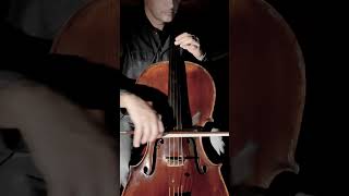 Vivaldi Winter Linverno II Largo Cello [upl. by Atinod]