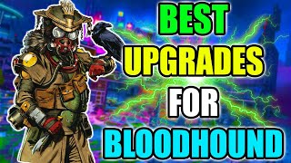 BEST UPGRADES FOR BLOODHOUND IN SEASON 22 [upl. by Stegman]